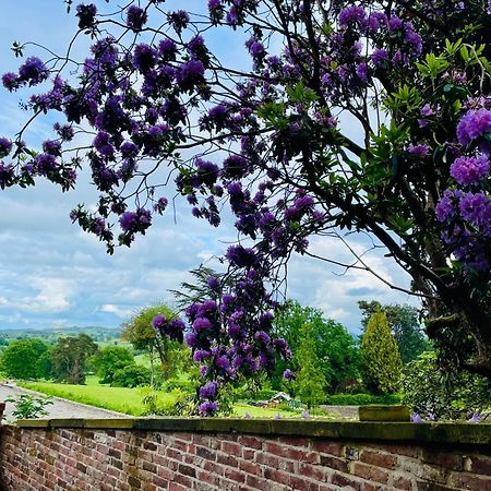 Llanerchydol Hall Suites Welshpool Zewnętrze zdjęcie