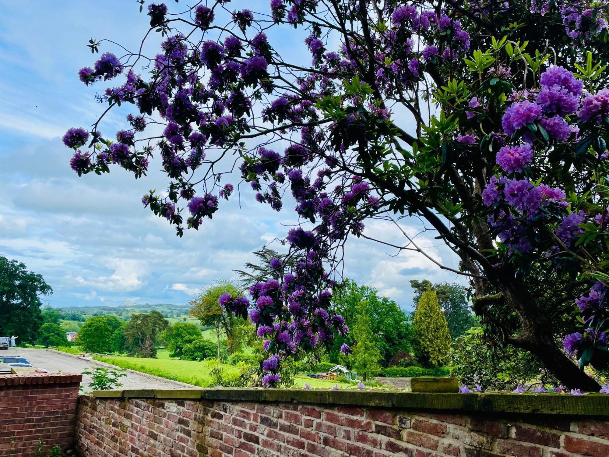 Llanerchydol Hall Suites Welshpool Zewnętrze zdjęcie